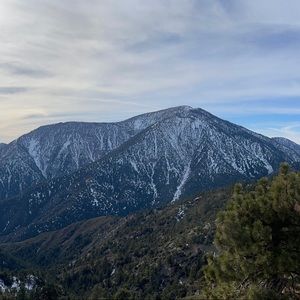 Meet your Posher, Yadi